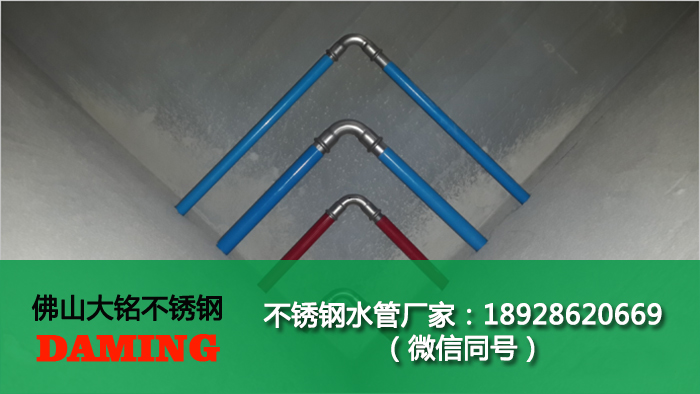 探花在线播放水管