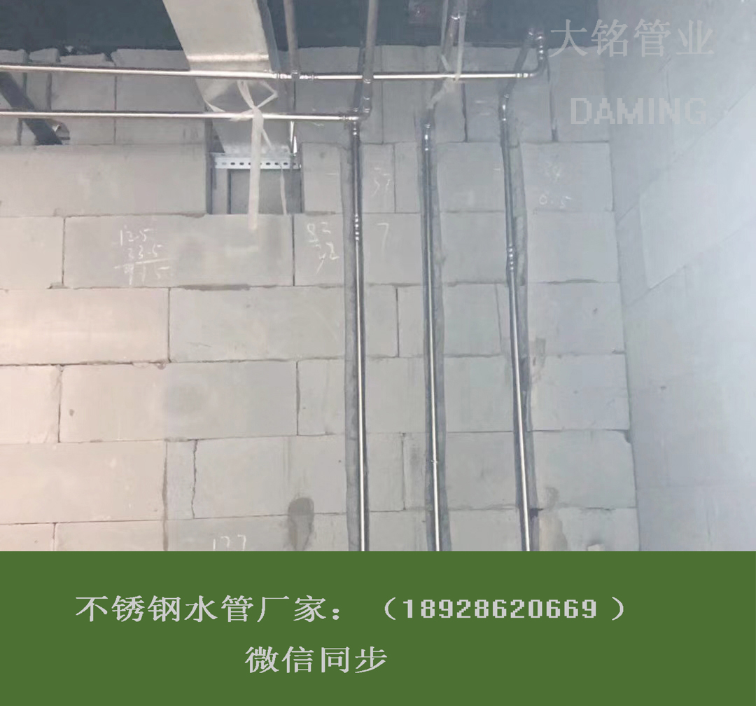 探花在线播放水管