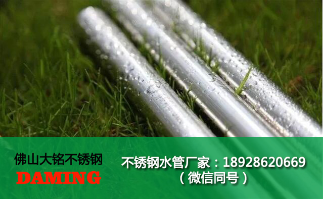 316探花在线播放卡壓管