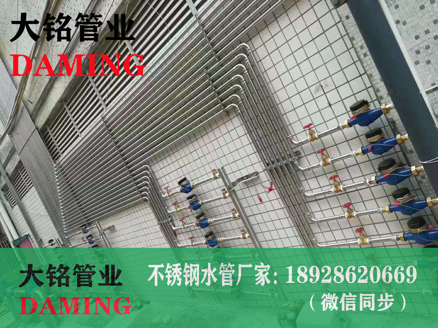 探花在线播放供水管