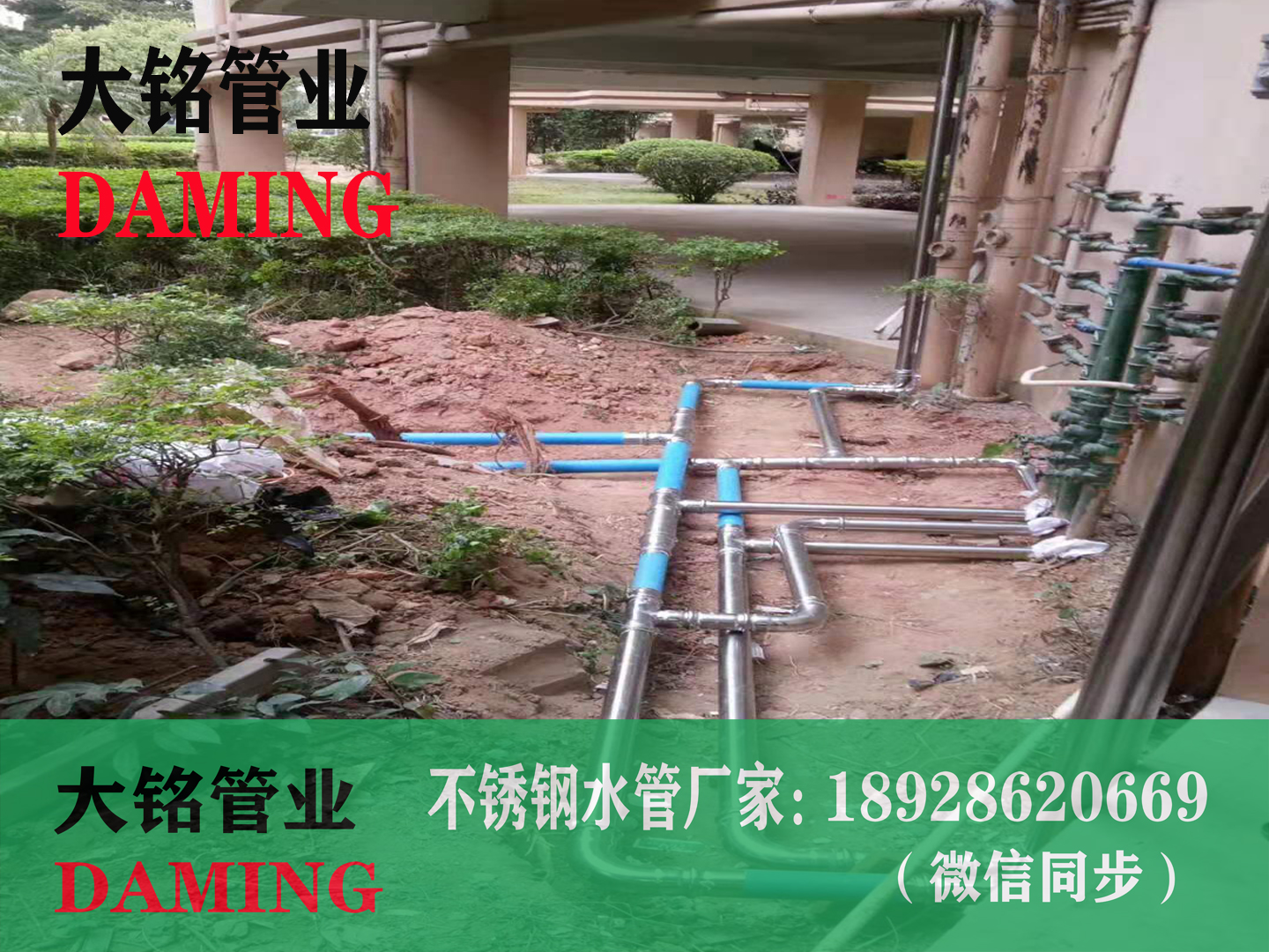DN50*15探花在线播放90°異徑彎頭]