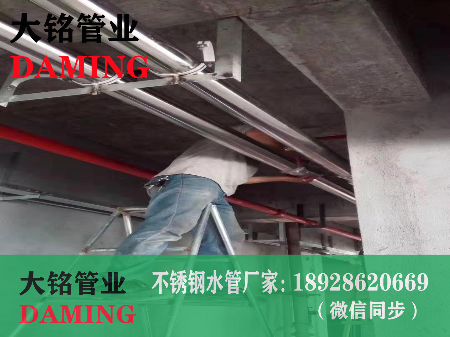 薄壁探花在线播放管道