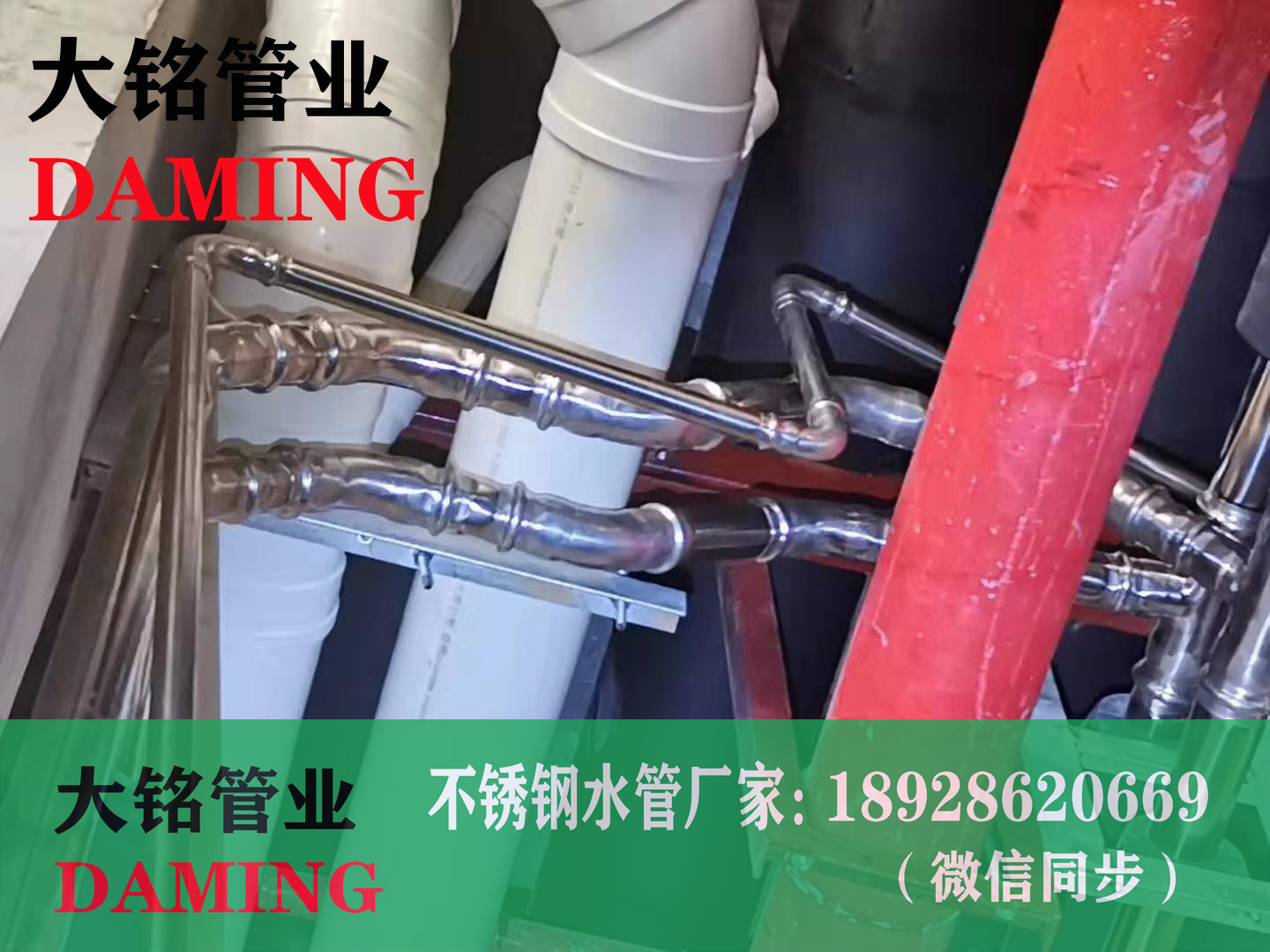 卡壓式国产探花免费观看