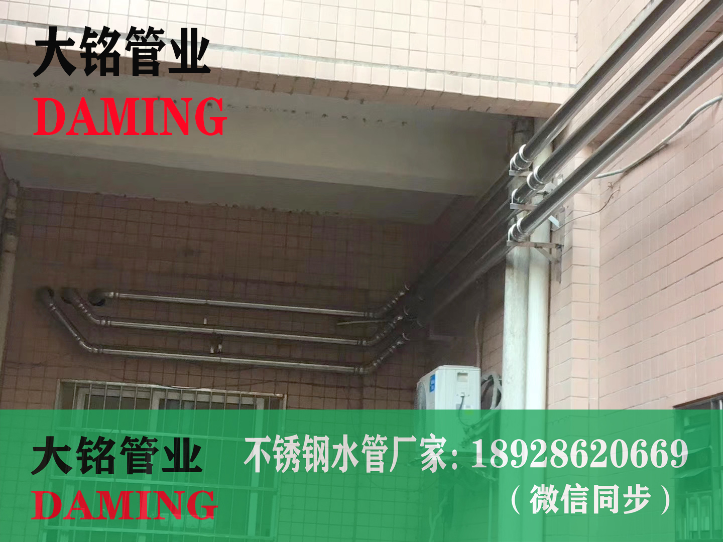 探花在线播放水管
