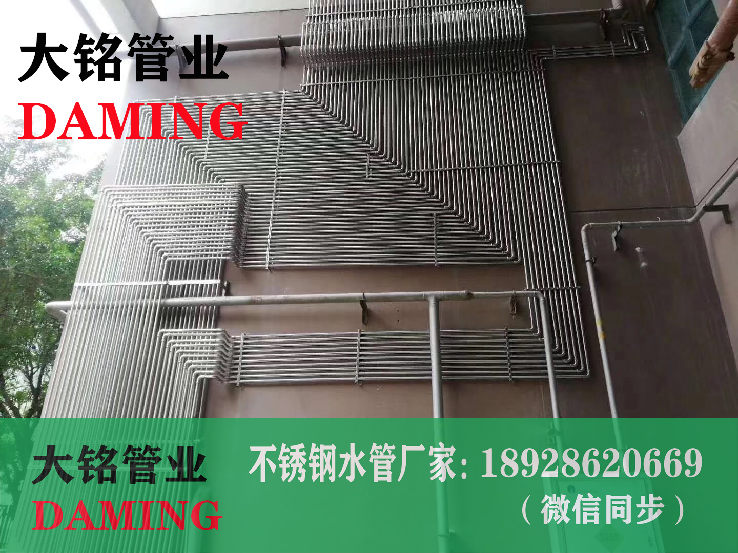 探花在线播放給水管