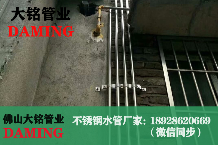 探花在线播放水管