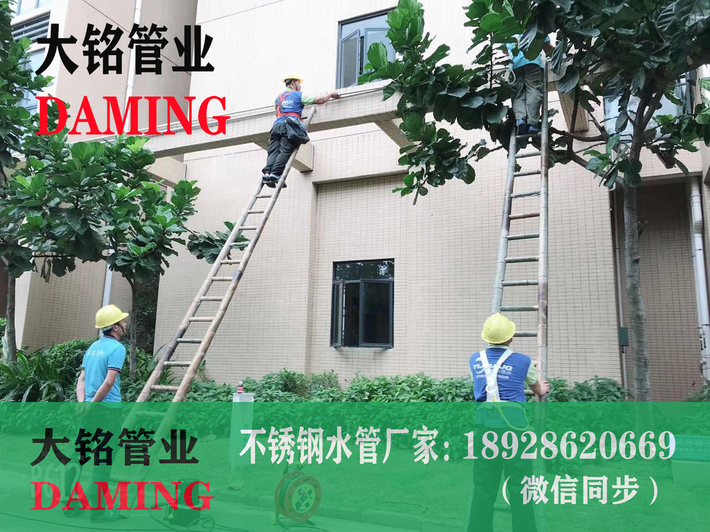 316L探花在线播放水管